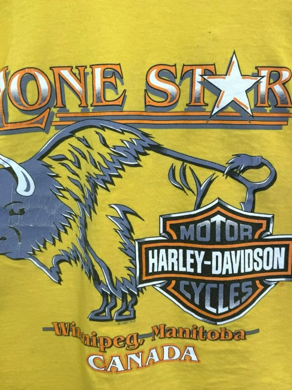 Vintage 90s Y2K Harley Davidson T-Shirt Tee Winnipeg Manitoba Buffalo Lone Star - Picture 2 of 8